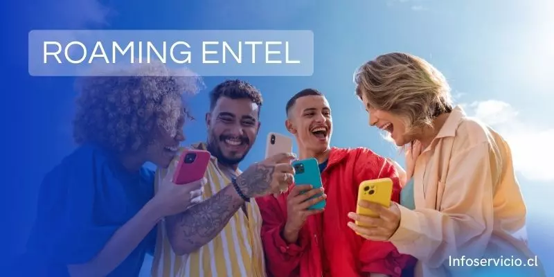 Roaming Entel